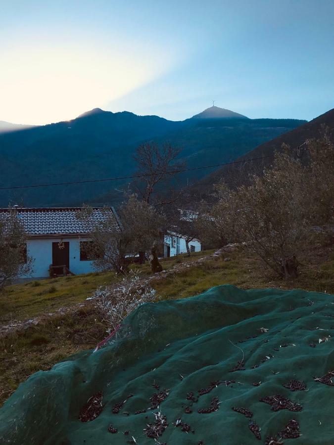Penzion "Casa Da Russa" Mountain Experience Vila Real Exteriér fotografie