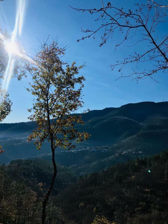Penzion "Casa Da Russa" Mountain Experience Vila Real Exteriér fotografie